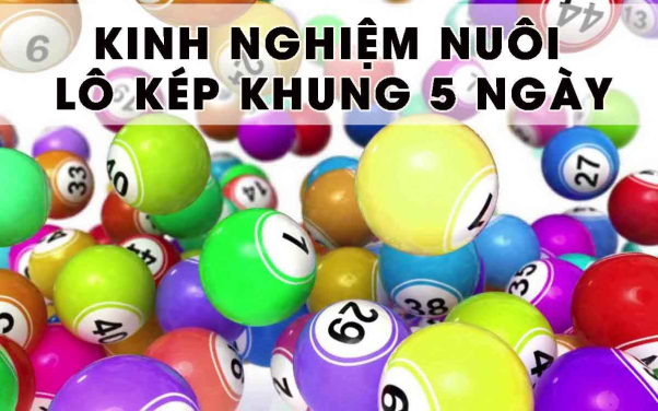 2. Hướng dẫn 3 cách nuôi lô kép khung 5 ngày đạt ngày hiệu quả cao nhất