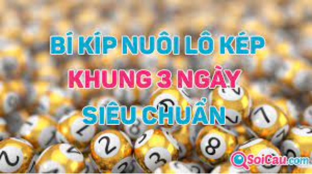 Lô kép nuôi khung 3 ngày là như thế nào?